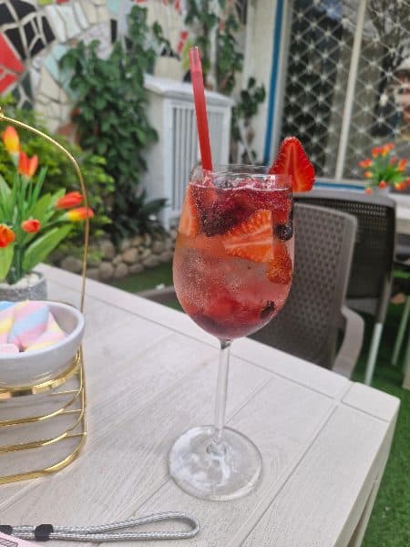 Sodas - frutos rojos